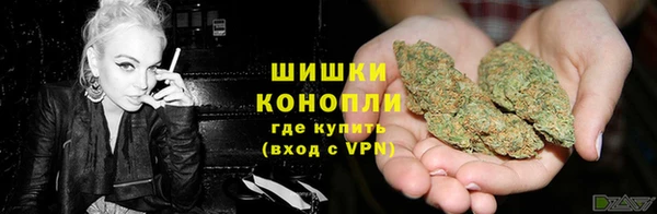 прущие грибы Володарск