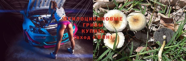 прущие грибы Володарск